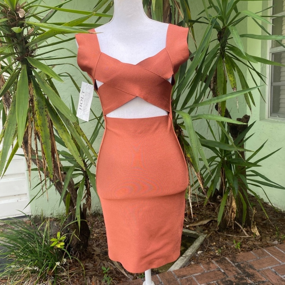 Rusty Burnt Orange Cut Out Bondage Dress - Picture 3 of 13